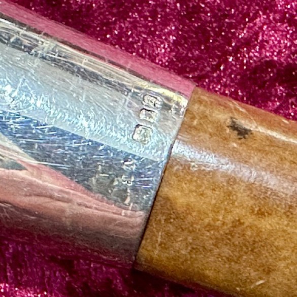 Solid Silver Topped Walking Stick 3